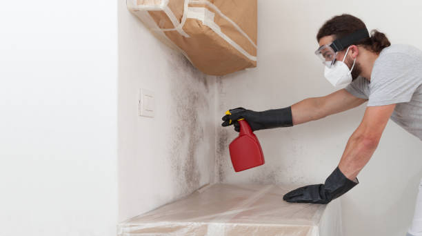 Professional Mold Remediation technician working in Sand Lake, MI