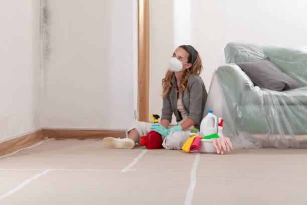 Reliable Mold Remediation contractor in Sand Lake, MI by Car Mold Remediation